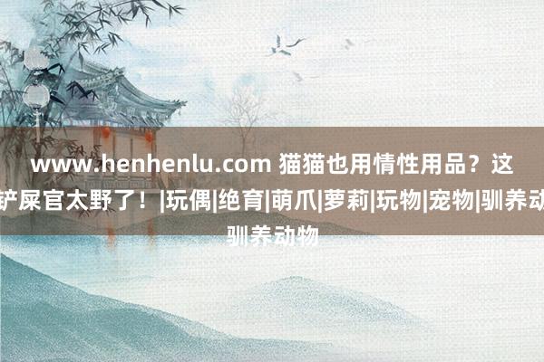 www.henhenlu.com 猫猫也用情性用品？这届铲屎官太野了！|玩偶|绝育|萌爪|萝莉|玩物|宠物|驯养动物