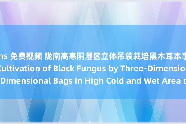 onlyfans 免费视频 陇南高寒阴湿区立体吊袋栽培黑木耳本事重心 Key Points of Cultivation of Black Fungus by Three-Dimensional Bags in High Cold and Wet Area of Longnan City